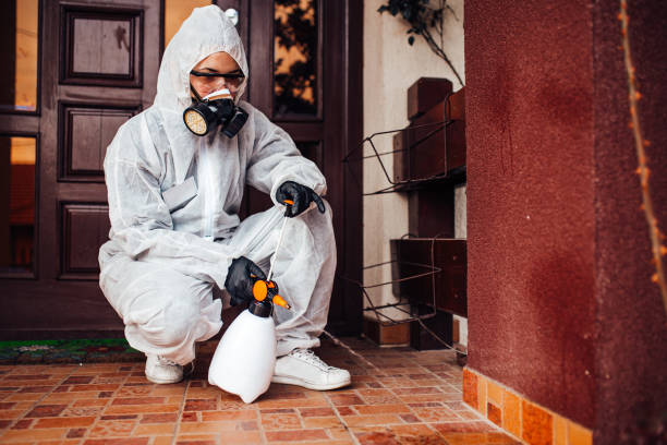 Attic and Crawl Space Rodent Treatment in Sacred Heart University
