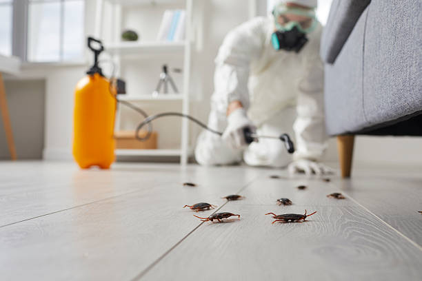 Commercial Rodent Management in Sacred Heart University